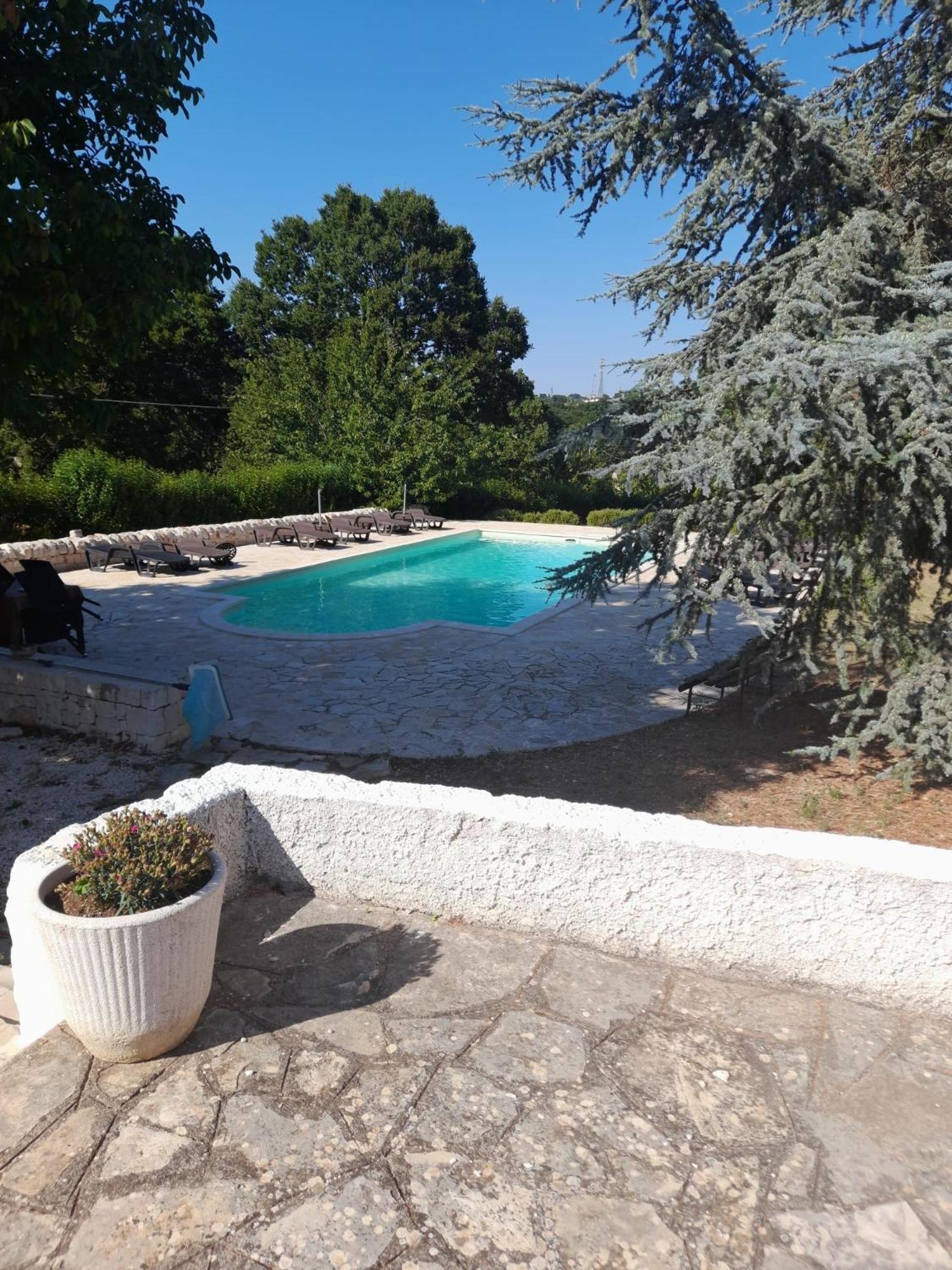 Villa Apollonia B&B Monopoli Extérieur photo
